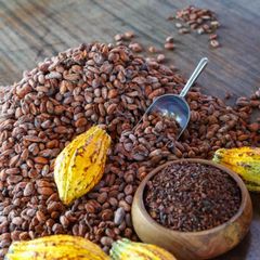Natural Cocoa Beans For Premium Chocolate Production And Cocoa Processing With Distinct Flavor Pleasant Aroma - Image 4