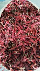 dry chilli - Image 1