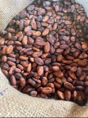 Sun Dried Cocoa Beans Whassapp +237671503419 - Image 4