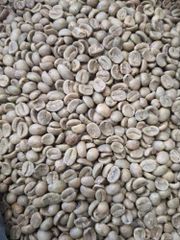 Robusta Natural Green Coffee Beans for sale - Image 1