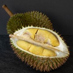 Fresh Premium Durian D24 Malaysia (Whole Fruit) Grade A Style Fresh Type DURIAN Weight (kg) 2 Certification GAP Cultivation Type - Image 1
