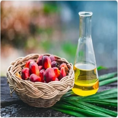 Refined Palm Oil Featuring Refined Purity Golden Color And Dependable Performance For Restaurants And Food Service - Image 2