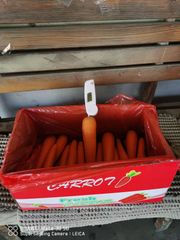 carrot Grade AAA Type Fresh Shelf Life 35 days Packaging Details carton Packaging 3.7/4/6/10/20KG Storage Type - Image 4