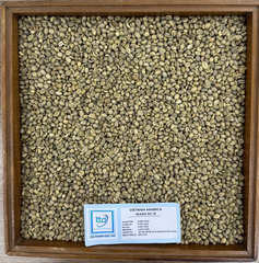 Vietnam Arabica, Grade 1, Screen 16/ 18, Fully-Washed - Image 4