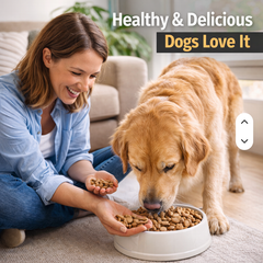 Premium Dry Dog Kibble Food Manufacturer Supplier for Wholesale - Image 1
