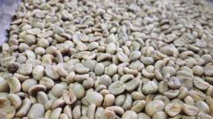 Premium West Java Arabica Coffee - Full Wash Process – product photo 2, product detail gallery