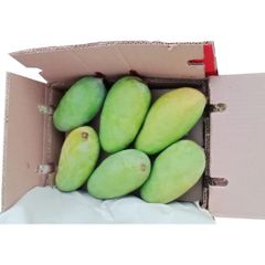 Bulk Chaunsa Fresh Fruit Mango from Pakistan - High Quality and Delicious - Image 1