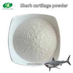Common Shark Cartilage Extract Powder Low Price - Image 4