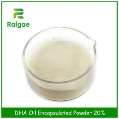 10% DHA Oil Milk Powder Encapsulated Powder Health Nutrition Supplements Shelf Life >12 Months Transport Package 20kg Carton Box - Image 3