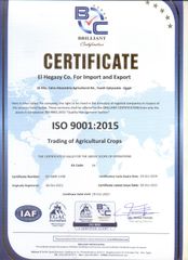  ISO 9001 certificate from El-higaze group