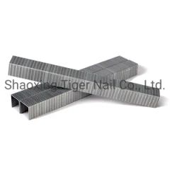 Carton Staple (SB103020) for Packing - Image 2
