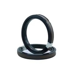 Spg Spgo Spgw Mechanical Seals Hydraulic Cylinder Piston Seal Group - Ruian Taiyue Electromechanical Co., Ltd.
