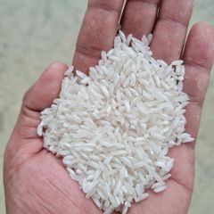 long grain white rice 5% broken – product photo 3, product detail gallery