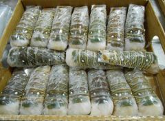 Frozen Fresh Lobsters Wholesale / Frozen Fresh Lobsters Export Bulk Price Fresh Live Lobsters For Food Service Suppliers - Image 5