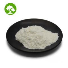 High Quality Food Additive Lactose CAS 63 42 3 - Image 2