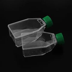 Plug 75cm2 Sterile Working Volume 25ml Cell Culture Flasks - Image 4