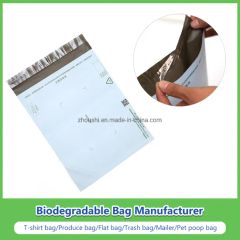 Plastic Printing Bubble Express Bag LDPE Mailing Bag - Image 4