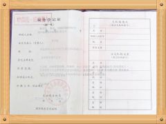 GOV Tax No. certificate of Cangzhou Dixin Roll Forming Machine Co., Ltd. – certificate photo, supplier certificates section