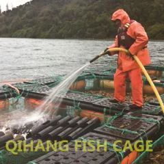 Carp Fish Farming, Catfish Farming Equipment for Sale - Image 5