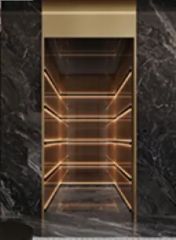 Factory Direct Sales Homes Passenger Elevator Price Persons <5 Origin China Model NO. 007 HS Code 842810 Speed <1.00m/s Capacity - Image 5