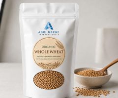 Wheat - Image 1