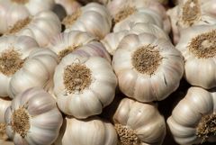 2022 Fresh White garlic for Sale – product photo 2, product detail gallery