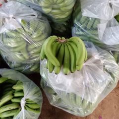 High Quality Fresh Banana - Green Cavendish Banana for China, EU, Japan, USA Market – product photo 4, product detail gallery