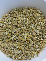 Dried Chamomile Flower - Image 5