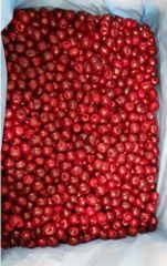 IQF Sour Cherry - Image 1