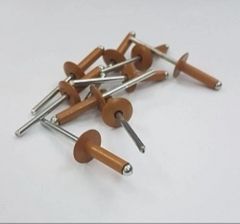 Aluminium/Steel Rivet, Size: 3/16 X 3/4" Color Brown Brand Frontage Size 3/16 x 3/4" Packaging Type Box Material - Image 1