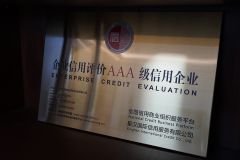 Certificates certificate from Hebei SPT Seals Technology Co., Ltd.