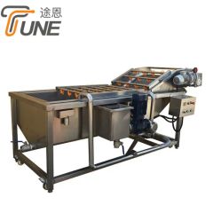 Multifunctional Fruit Vegetable Washing and Drying Machines Power 1.5KW Weight 800kg Trademark TUNE Warranty 1 Year Model NO. - Image 5
