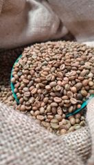 Hot Selling Blended Arabica & Robusta Premium Quality Direct Wholesale Green & Roasted Brazil Coffee Beans Bulk Packed – product photo 2, product detail gallery