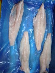 Frozen Hake Filet Merluccious Gayi Origin Ecuador Availability - Image 2