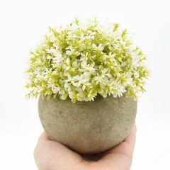 Fast Delivery Simple Plastic Artificial Plants Potted - Image 5