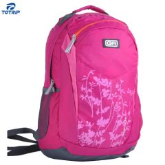 Big Capacity Functional Daily Convenient Pink Laptop Backpack - Quanzhou Chally Sport Goods Co., Ltd.