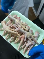 Healthy Frozen Chicken Legs - Image 1