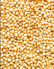 Sorghum – product photo 1, product detail gallery