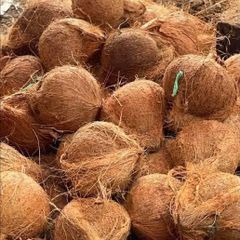 coconut and coconut based produc – product photo 1, product detail gallery