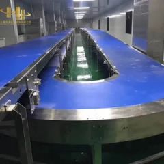 Branded PVC Conveyor Belt for Food Processing, Packaging, Warehousing, and Logistics Automation - Image 5