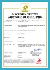 Multi-way valve CE certification certificate from Ruiye Machinery Co., Ltd.
