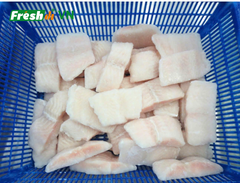 Pangasius Cube - Image 1