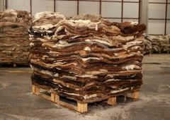 Camel Skin & Donkey Skin - Image 1