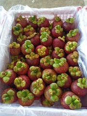 Fresh Mangosteen – product photo 3, product detail gallery