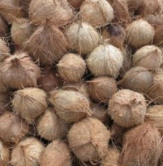 Semi-Husked Coconut – product photo 2, product detail gallery