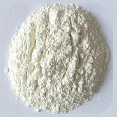 Premium 100% Natural Dehydrated Garlic Powder for Cooking Trademark CHBT Origin Henan China Specification 25kg Type The First - Image 4