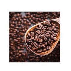 Hot Selling FENICIA Importadora Arabica Green Coffee Beans Roasted Bulk Packaging 100% Natural Quality Brazil Grade 2 Ye - Image 4
