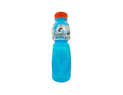 Premium Gatorade Sports Drink For Active Lifestyles With Refreshing Flavor And Convenient Hydration During Sports – product photo 5, product detail gallery