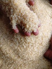 Rice - Image 1