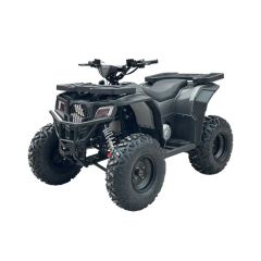 New Model Adults ATV off Road Gy6 200cc ATV Quad 250cc Origin China Ignition Cdi Power >1000W Condition New Brand Ameitta - Ameitta Technology Co., Ltd